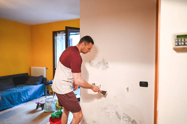 Best Best Mold Removal Companies  in West Lawn, PA
