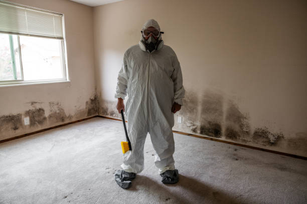 Best Residential Mold Removal  in West Lawn, PA